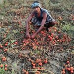 WhatsApp Image 2026-03-28 at 17.38.43