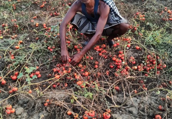 WhatsApp Image 2026-03-28 at 17.38.43